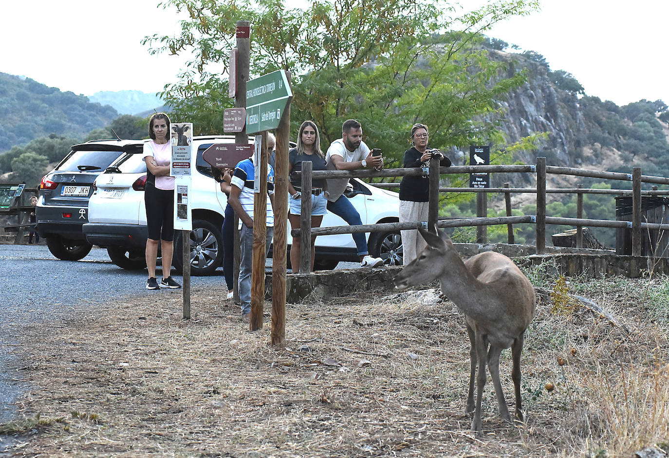 Visitas a Monfragüe para contemplar la berrea