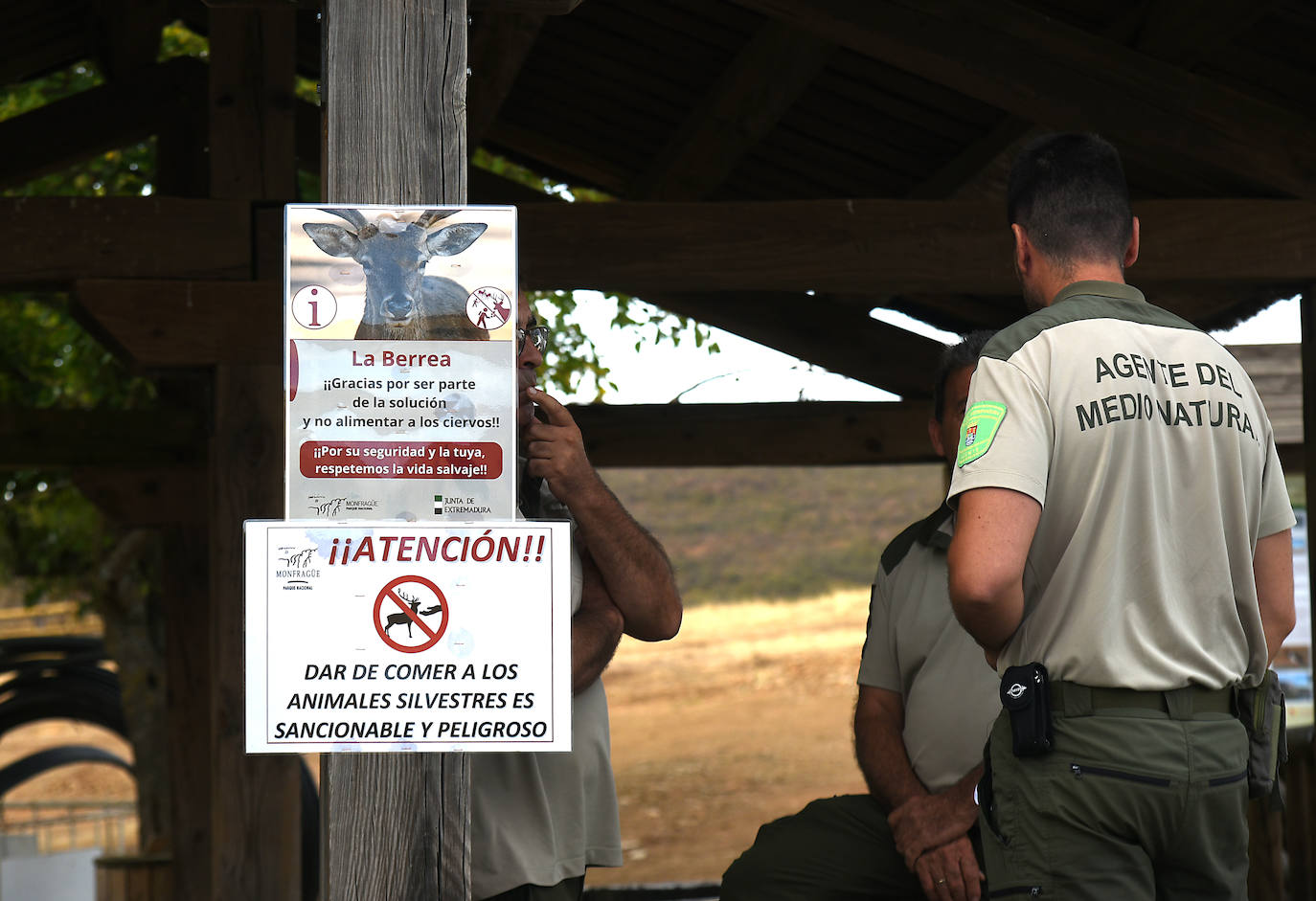 Visitas a Monfragüe para contemplar la berrea