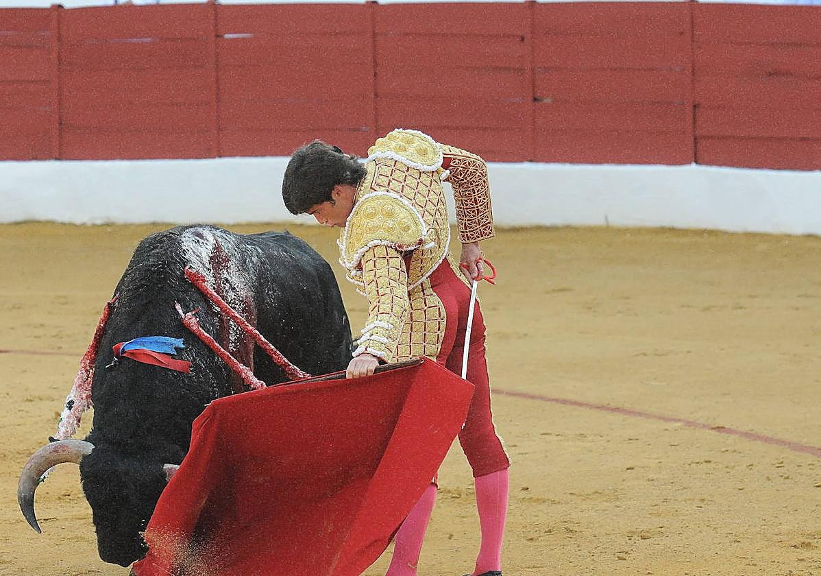 Festejo taurino en la Feria de Zafra del pasado año.