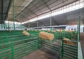 Nave de ovino del recinto de Zafra vacía estos días.