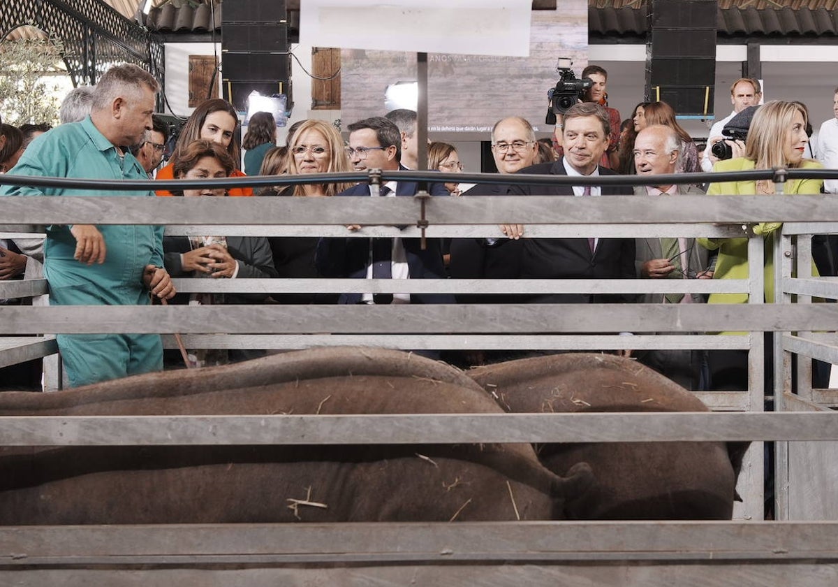 Visita en la nave de cerdos ibéricos, con Gallardo (presidente de la Diputación pacense) y Fernández (alcalde de Zafra), junto a Planas y Guardiola.