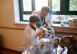 Un niño aprende a utilizar un microscopio en uno de los talleres celebrado en la Noche de los Investigadores de Cáceres.