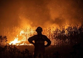 Expertos achacan los fuegos de Portugal a su vegetación y clima: «No llegaron a Galicia de pura casualidad»