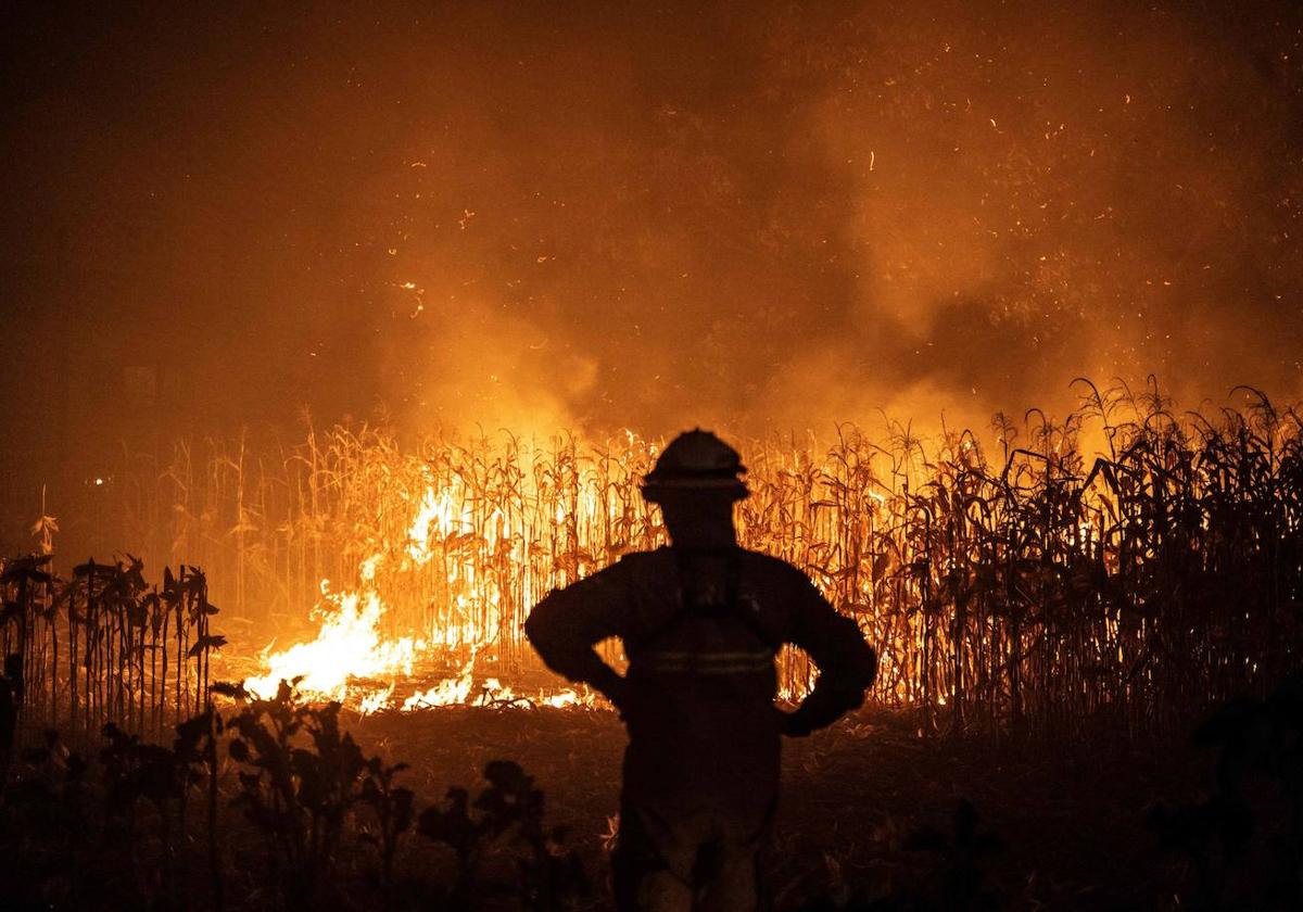 Expertos achacan los fuegos de Portugal a su vegetación y clima: «No llegaron a Galicia de pura casualidad»