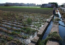 Acequia de una huerta de reagadío.