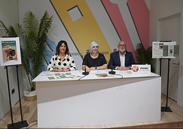 Presentación de las actividades de Proines.