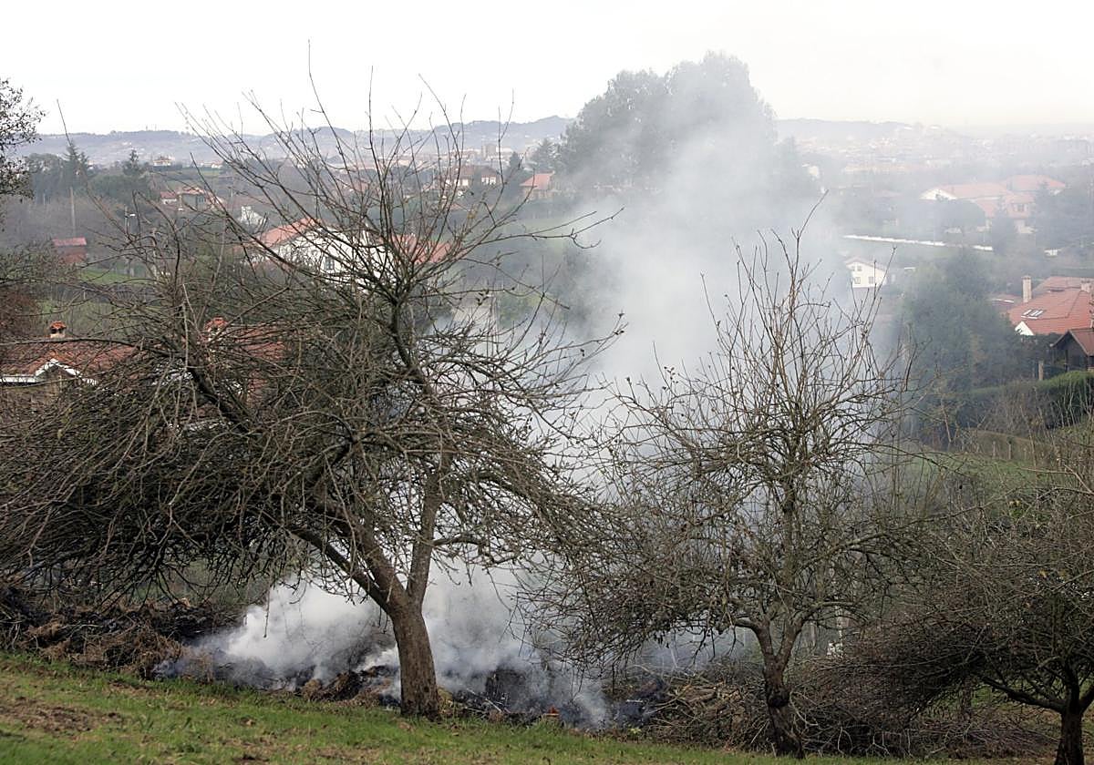 Foto de archivo de la quema de rastrojos