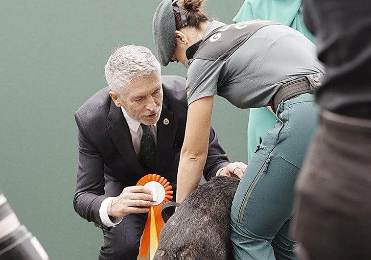 Fernando Grande-Marlaska, en la entrega de condecoraciones.