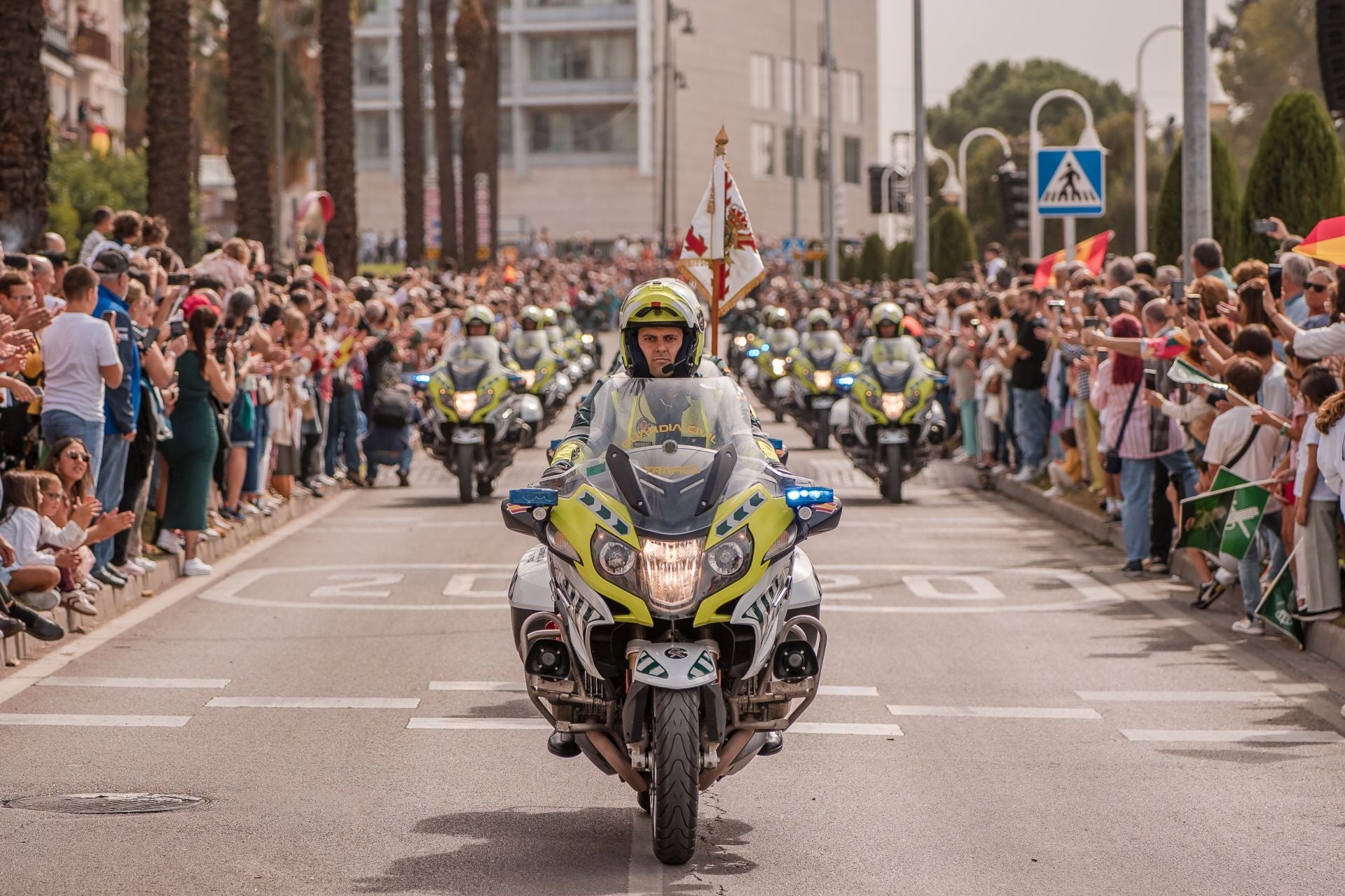 Desfile de la Guardia Civil en Mérida, en imágenes (II)