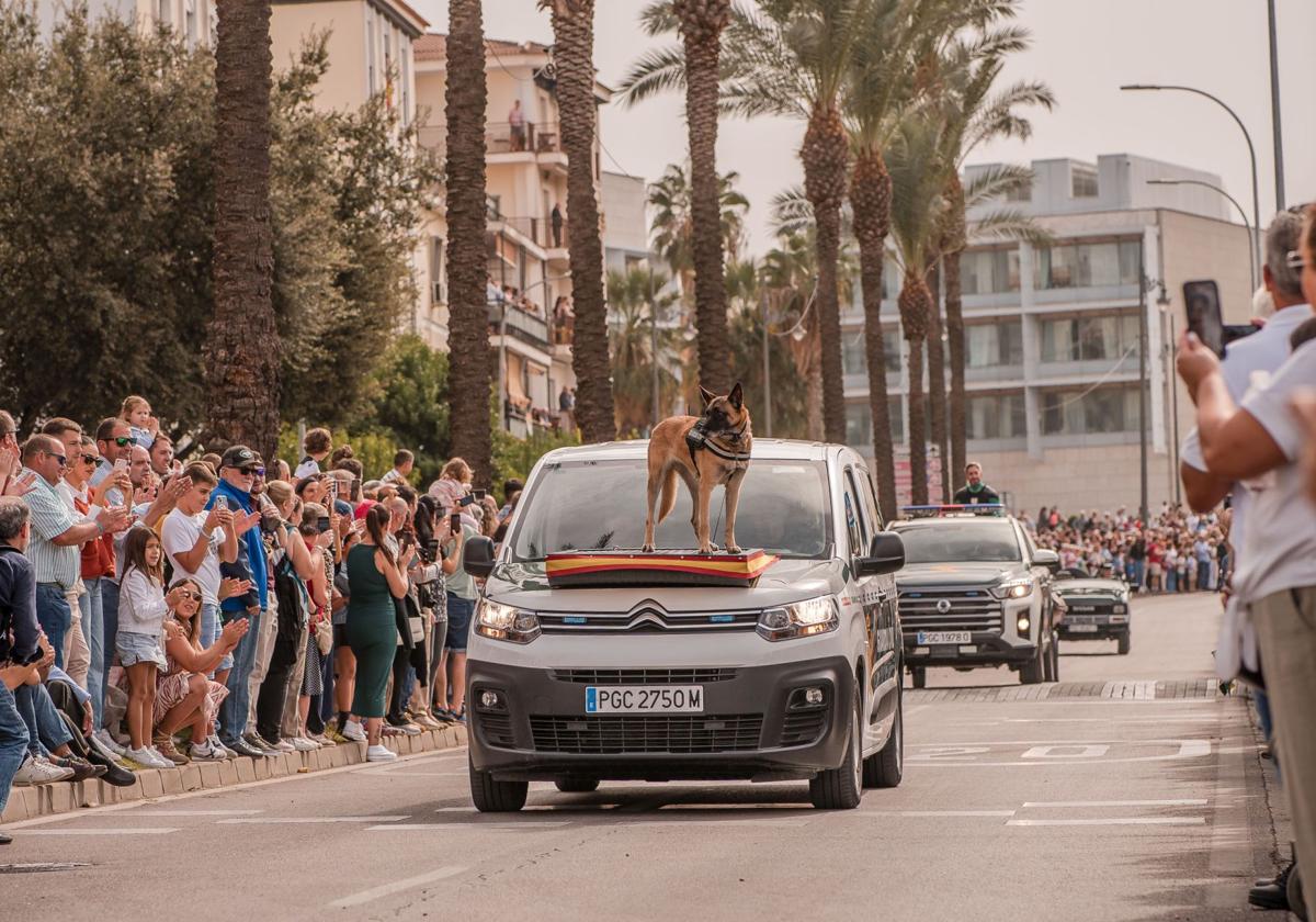 Desfile de la Guardia Civil en Mérida, en imágenes (II)