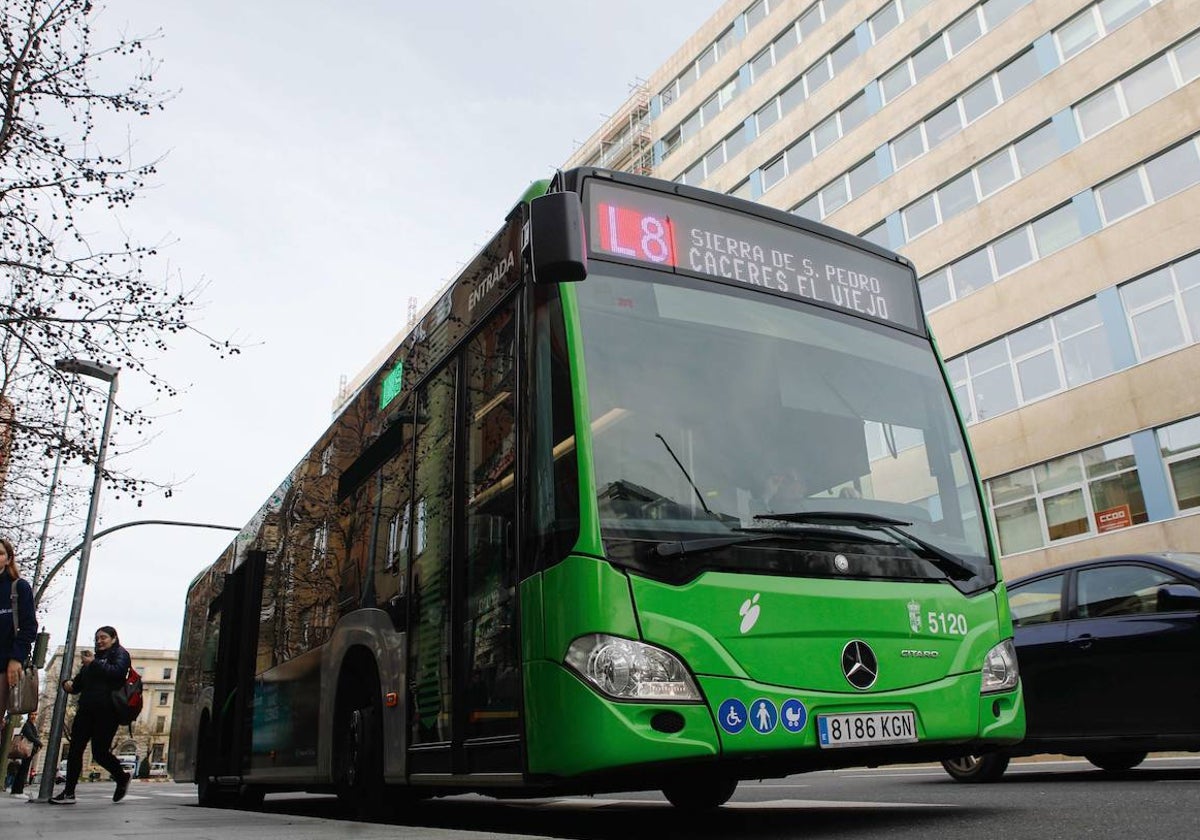 Imagen del bus número 8 a su paso por la avenida Clara Campoamor.