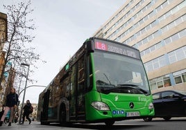 Imagen del bus número 8 a su paso por la avenida Clara Campoamor.