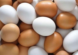 España adapta la nueva norma de la UE sobre el comercio de huevos