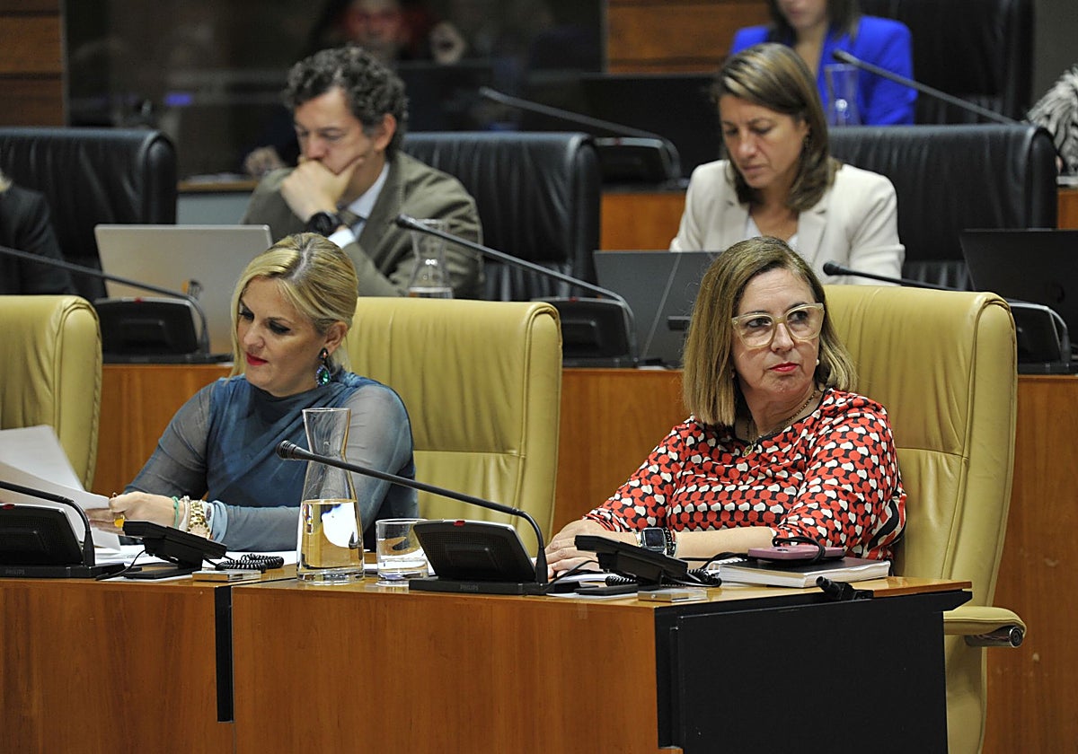 La consejera de Agricultura, Mercedes Morán (a la derecha), en el pleno de este jueves.