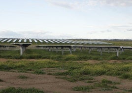 Instalaciones de Parque Solar, en las inmediaciones de la carretera N-521.