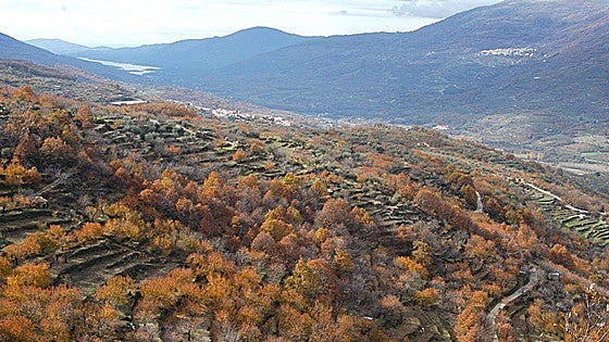 El Valle del Jerte avanza la programación de su Otoñada 2024