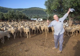 Javier Santos, ganadero de San Jorge de Alor, en su explotación ovina.