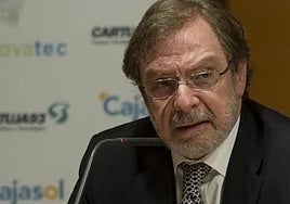 Juan Luis Cebrián.