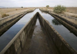 La modernización de las infraestructuras de los regadíos es indispensable para ahorrar agua.