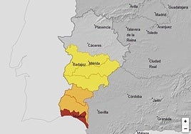 Avisos activos para hoy viernes 1 de noviembre.