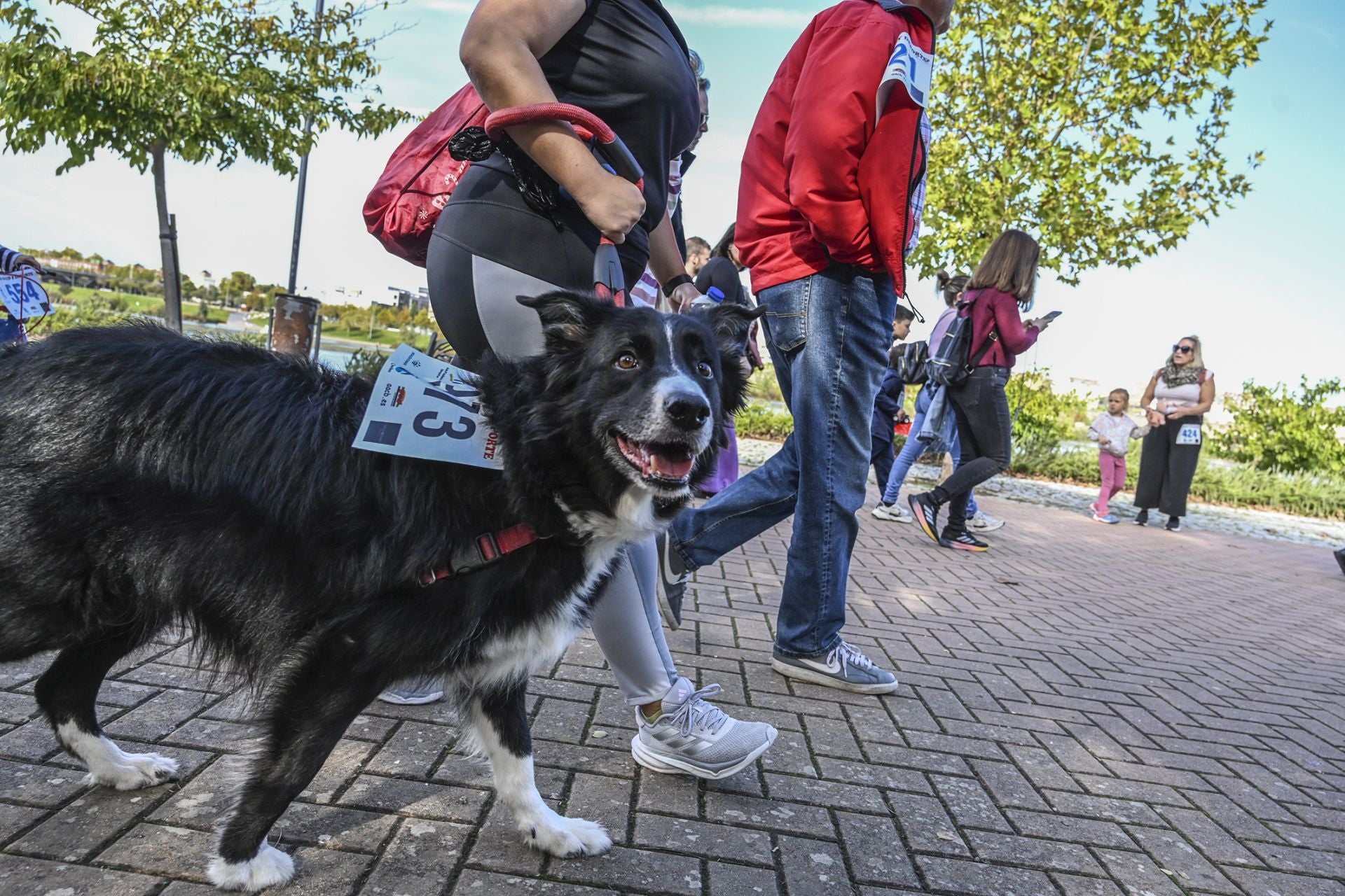 Fotos | Badajoz se solidariza corriendo con los afectados por la DANA