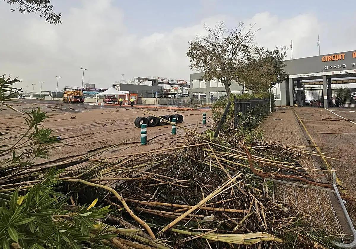 Agroseguro recuerda que los daños provocados por la DANA están cubiertos