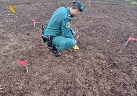 Identifican al presunto autor de cinco incendios forestales que arrasaron 260 hectáreas en Valdecaballeros