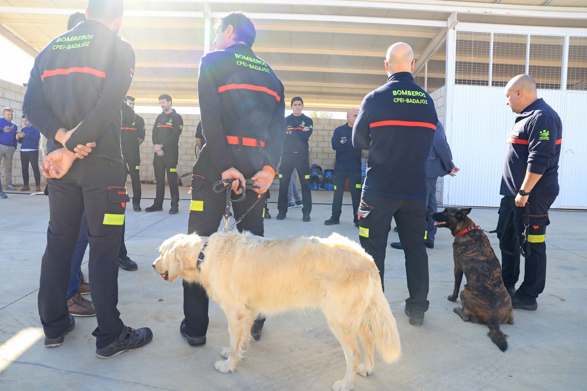 Así han recibido a los bomberos de la Diputación de Badajoz que regresan de Valencia
