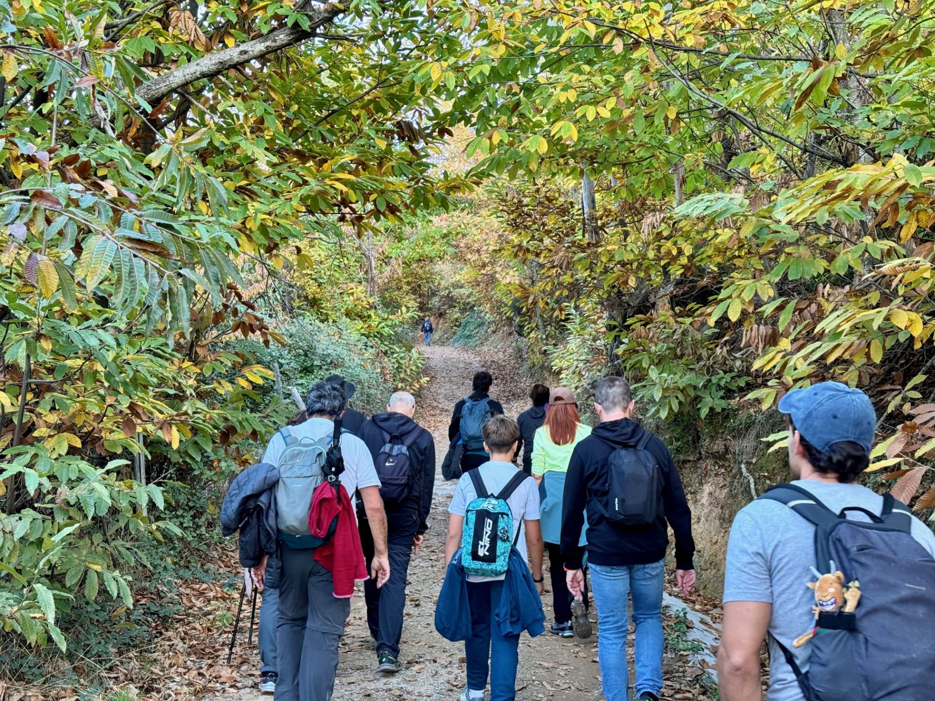 Última actividad que se ha hecho con el Tren Turístico Geoparque: la ruta de los Castaños Calabaza.