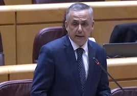 Ángel Pelayo Gordillo durante su intervención en el Senado.