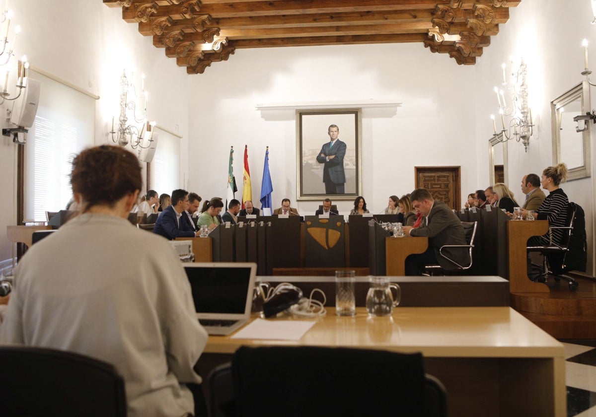 Un momento del pleno celebrado esta mañana en el Palacio Provincial.