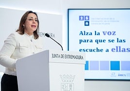 Ara Sánchez, presentando ayer la campaña del 25-N.