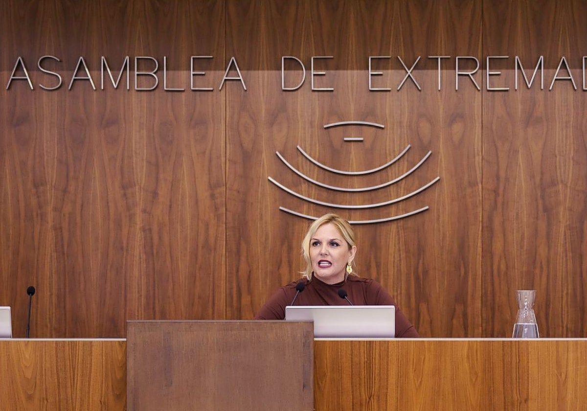 La consejera de Hacienda, Elena Manzano, en la presentación de las cuentas de 2025 en la Asamblea.