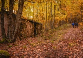 Senderistas de otoño.