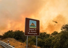 El mayor incendio en MonfragÜe fue en el año 2002, y quemó 2.300 hectáreas, 400 de ellas en el parque.