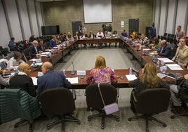 Elena Manzano, en el centro y de espaldas, preside la mesa general de Función Pública esta mañana en Mérida