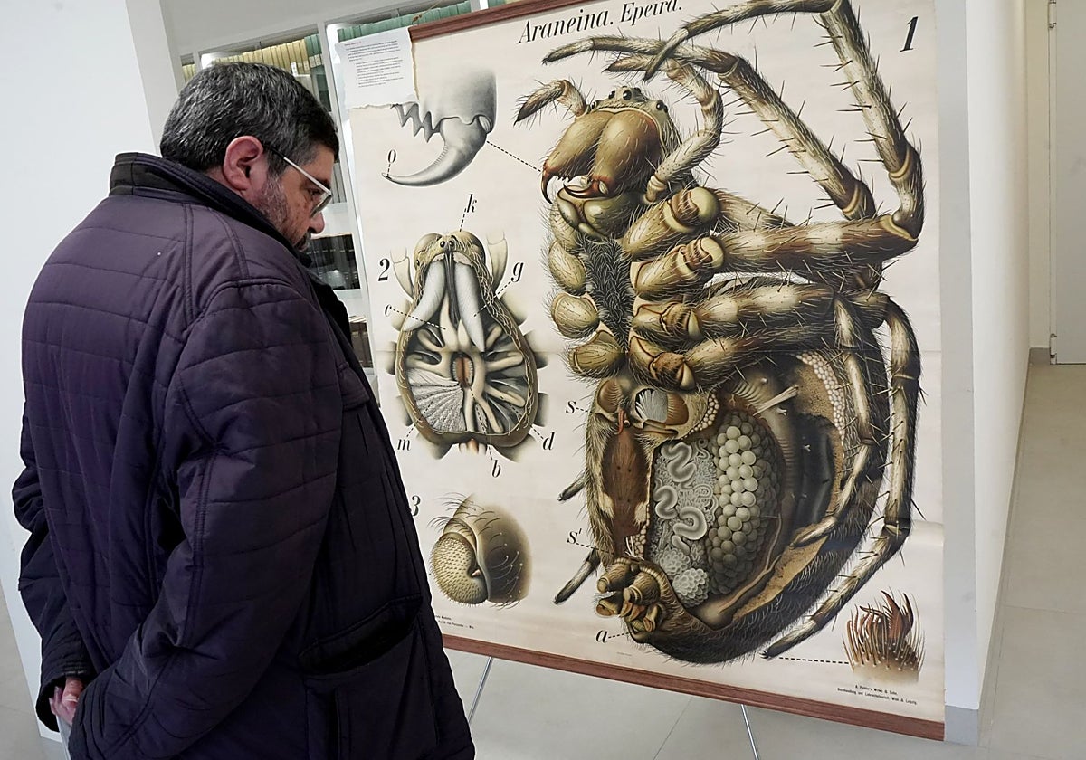 Exposición del Museo de la Ciencia de Badajoz.