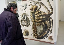 Exposición del Museo de la Ciencia de Badajoz.