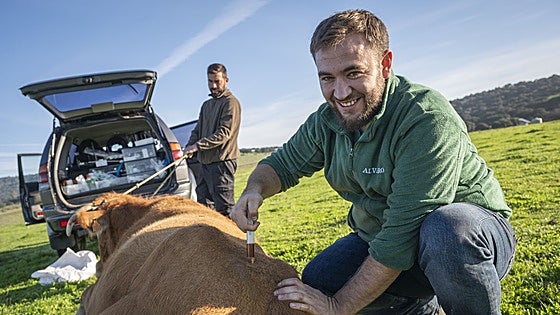 Veterinarios, doctores del campo sin descanso