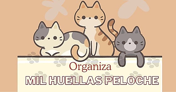 El 3er Mercadillo Solidario de Mil Huellas Peloche llega este 23 de diciembre