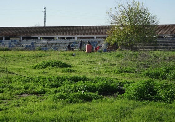 Varios residentes en el estadio José Pache ayer en las instalaciones abandonadas.