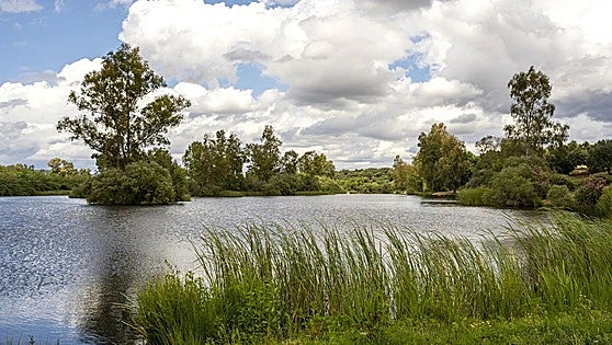 Licitados los trabajos de restauración fluvial del río Zapatón
