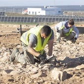 Las obras de unas fotovoltaicas desvelan uno de los mayores yacimientos de la Edad de Cobre