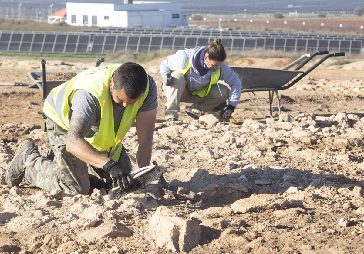 Las obras de unas fotovoltaicas desvelan uno de los mayores yacimientos de la Edad de Cobre