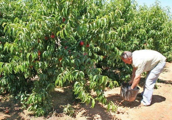 Agroseguro estima que pagará 35 millones en indemnizaciones este año frente a los 52 de 2023