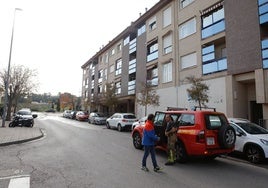 El incendio se produjo en la cocina del primer piso de un bloque de la calle Higuerilla, en Monteso.