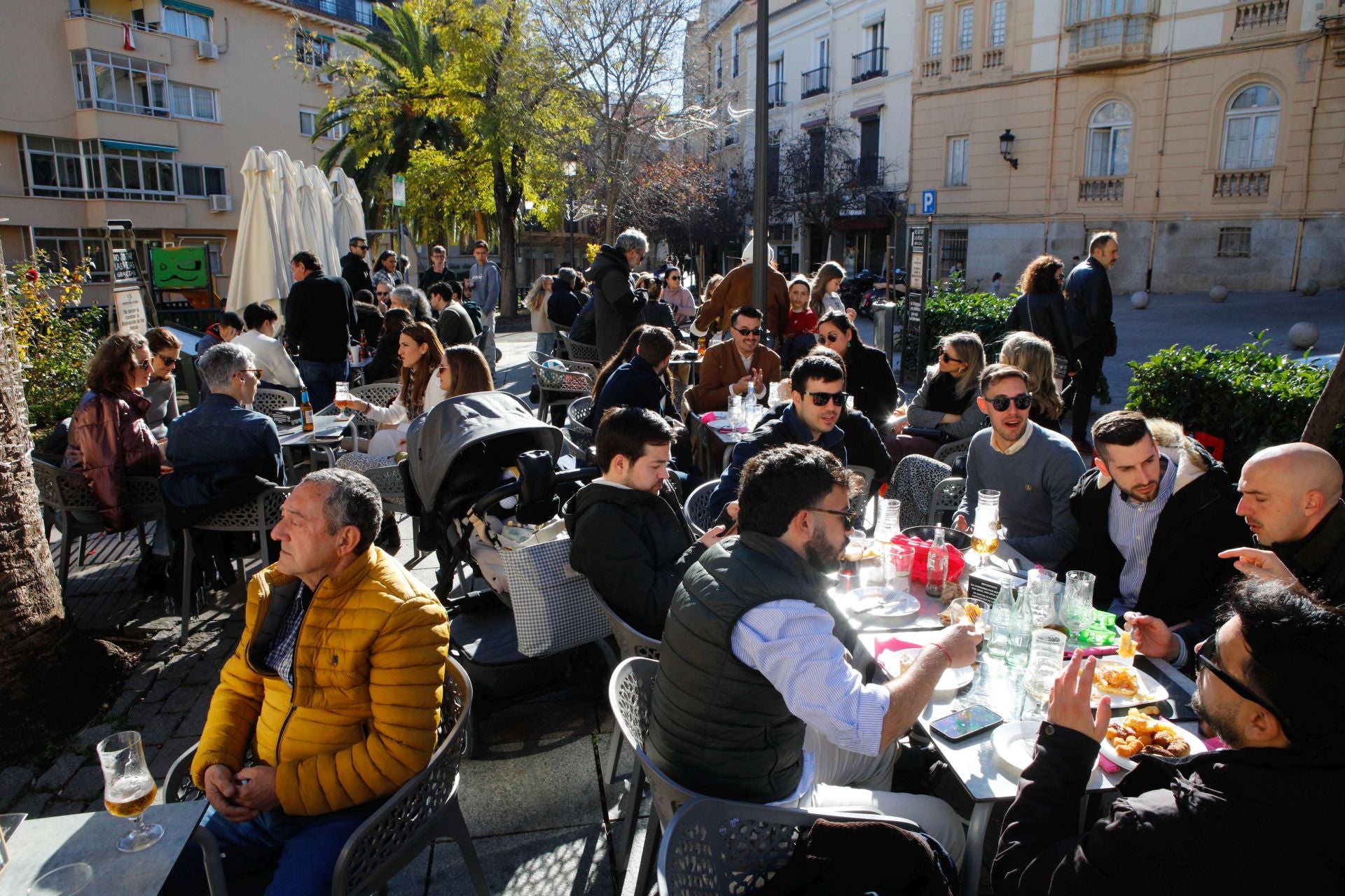Las calles de Cáceres se llenan con las cañas de Nochebuena