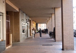 Negocios en la calle Pedro Romero de Mendoza, donde se ubica la comunidad afectada.