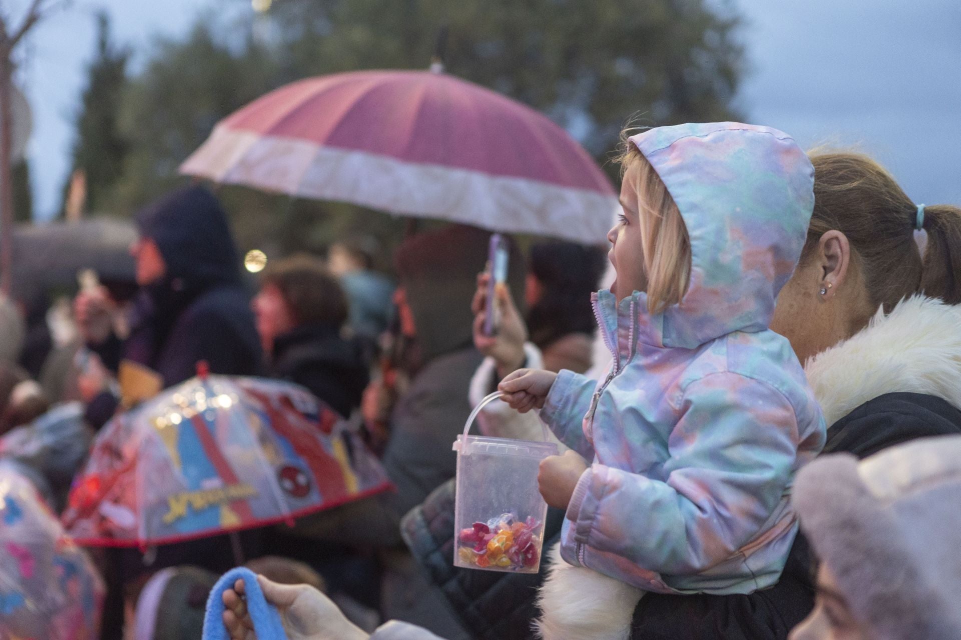 Fotos | Así ha vivido Cáceres la visita de Los Reyes Magos