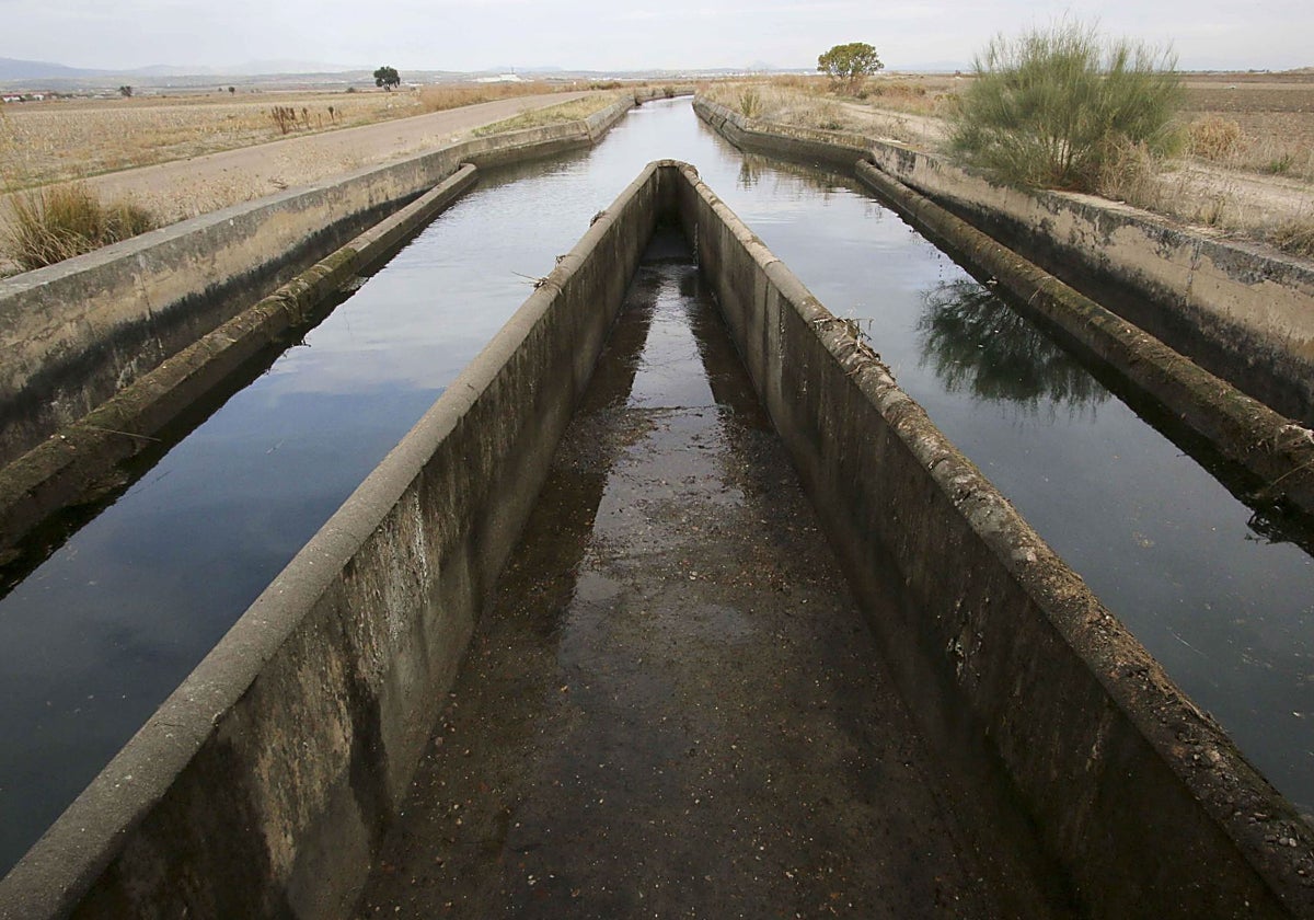 Acequias con agua del canal de Orellana, en las Vegas Altas del Guadiana, durante la campaña pasada de riego.
